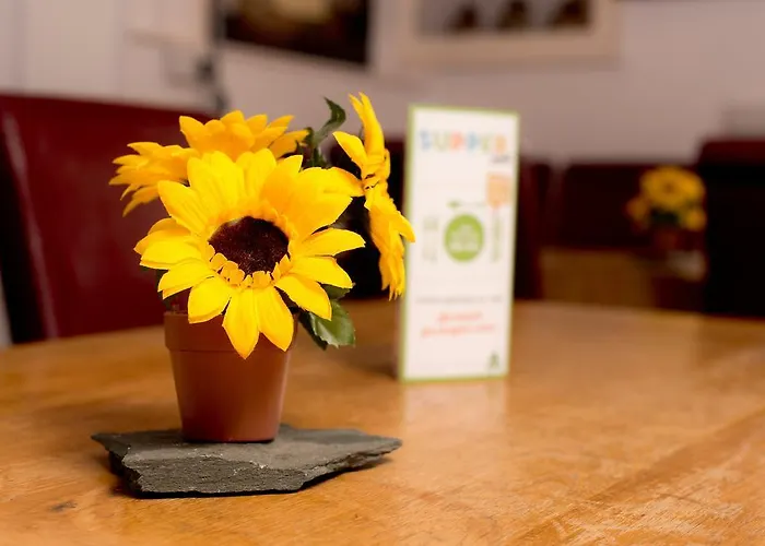 Yha Coppermines Coniston